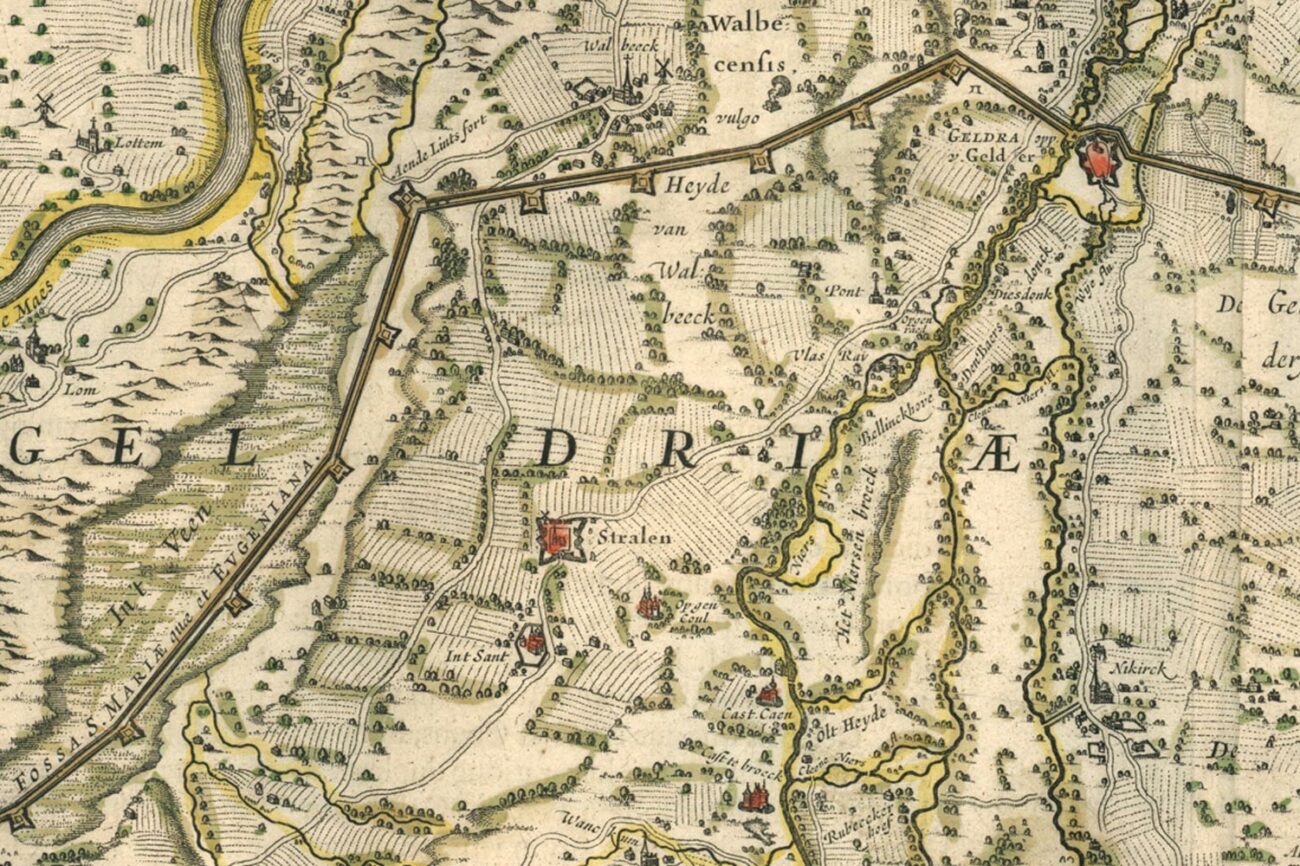 Fossa-Eugenia-hero-image